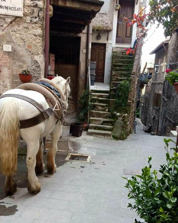 Casetta Nel Borgo Olevano Romano Exteriér fotografie